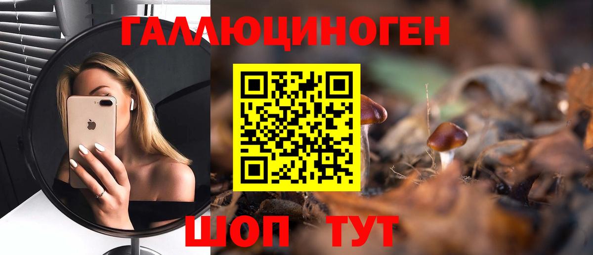 Галлюциногенные грибы прущие грибы Комсомольск-на-Амуре